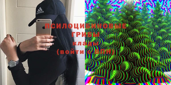 соль ск Алзамай