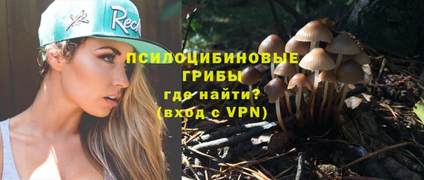 соль ск Алзамай