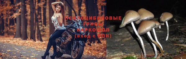 соль ск Алзамай