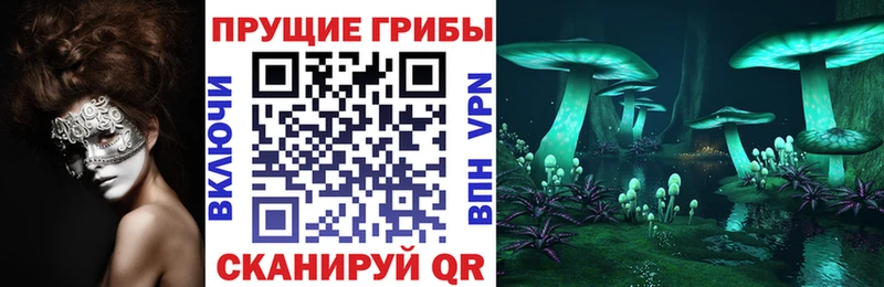 OMG зеркало  Арск  Галлюциногенные грибы Psilocybine cubensis  где купить наркоту 